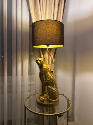 VAND LAMPA FAINA TARE Test
