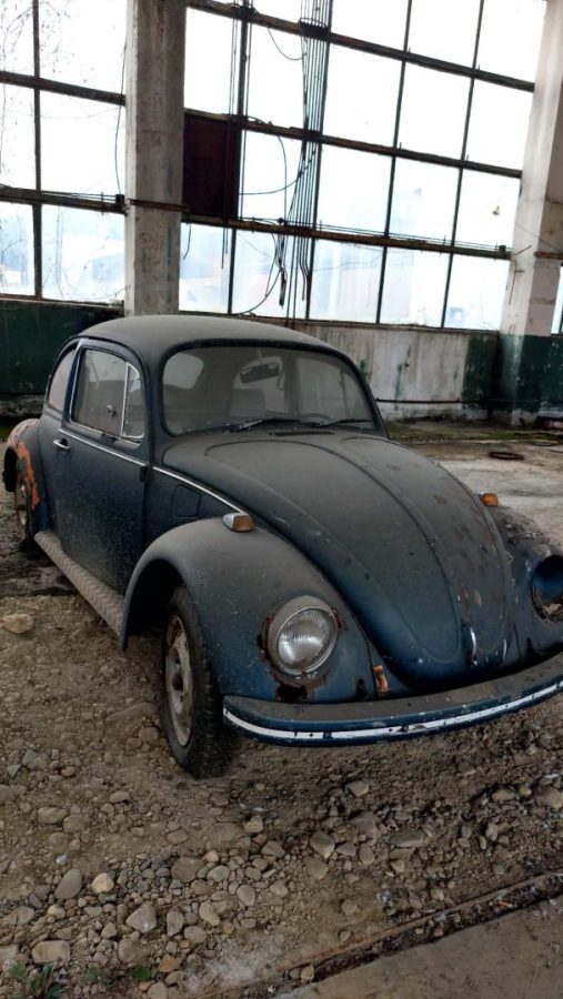 Vand Volkswagen Beetle/ Broscuta