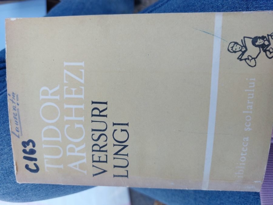 Vand cartea Versuri Lungi
