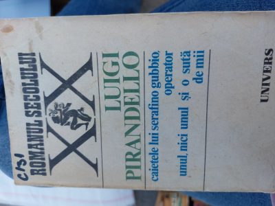 Vand cartea Romanul secolului XX