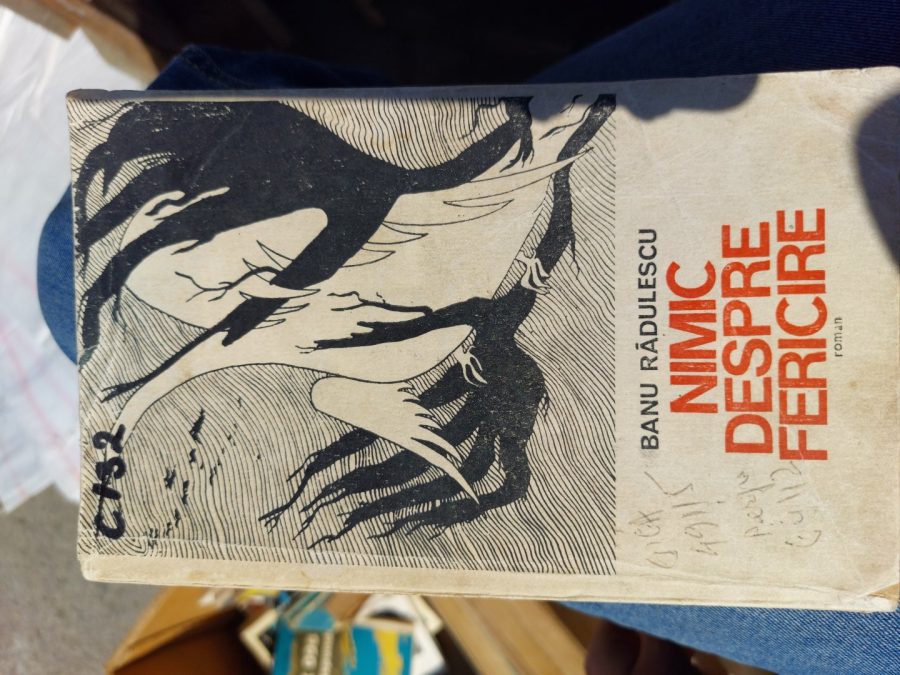 Vand cartea Nimic despre fericire